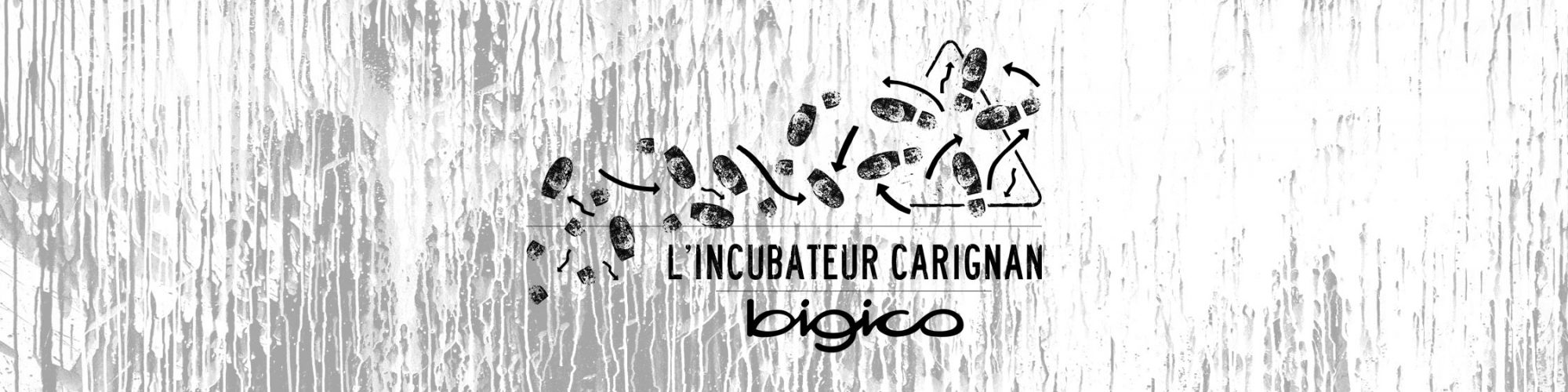 slide-incubateur-carignan